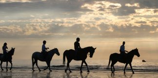 Group horseback riding on the beach
