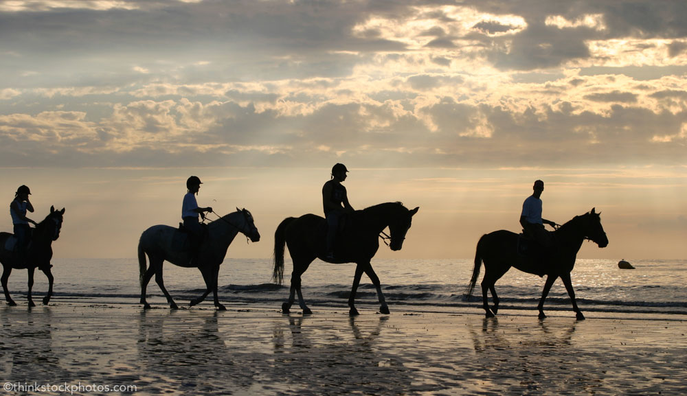 Group horseback riding on the beach