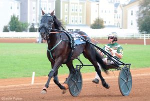 The Standardbred
