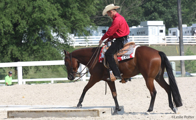 Horse and rider crossing a bridge in a trail class