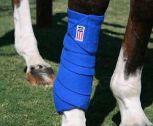 Perfect Your Polo Wraps