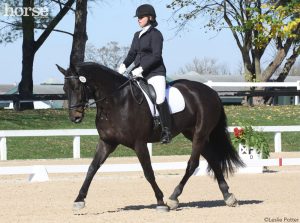 Make a Better Dressage Entrance