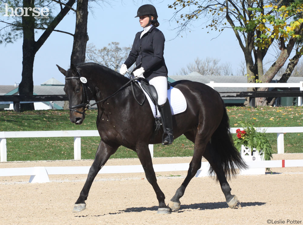 Entering the dressage arena at a trot