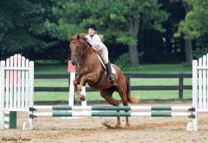 Jumping the Senior Horse
