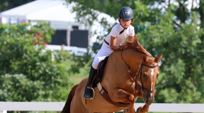 A rider competing in jumpers