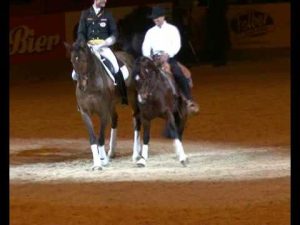 Reining and Dressage