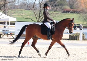 13 Tips to Ace Your Dressage Test