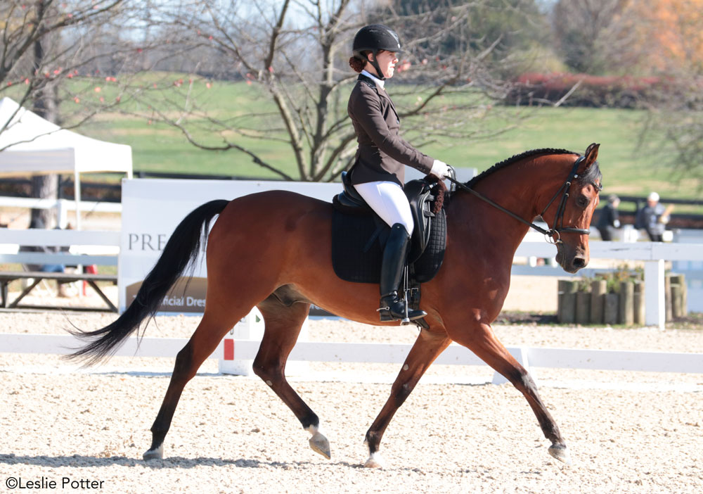 Cavalo árabe e cavaleiro competindo nas finais de adestramento dos EUA em 2018