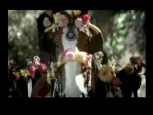 2009 Budweiser Clydesdale Ad – Generations
