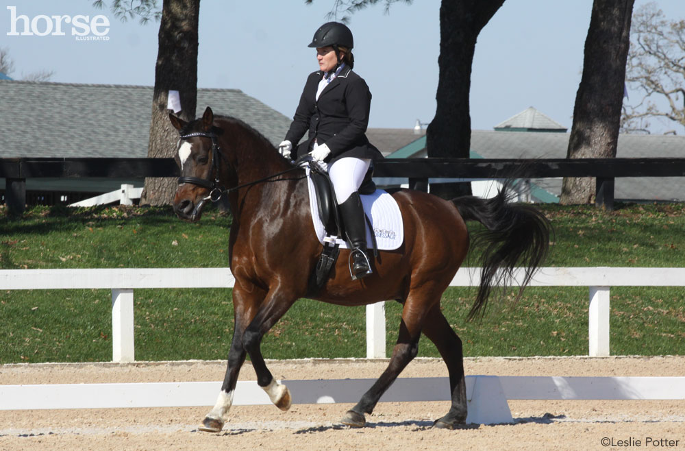 Cantering dressage horse