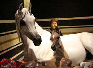 Al-Marah Arabian Horse Galleries