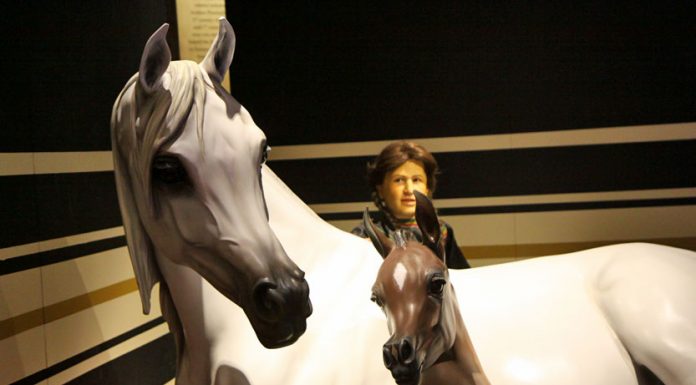 arabian horse exhibit at the international museum of the horse
