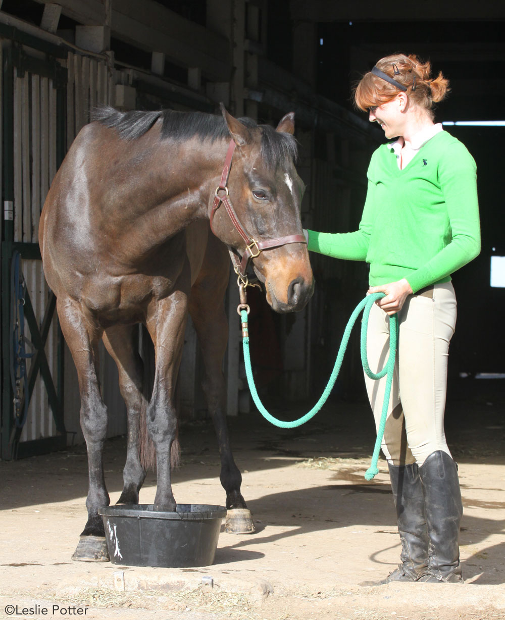 Soaking a horse's hoof