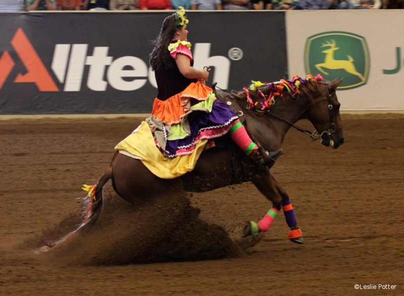 Freestyle Reining at the 2010 Alltech FEI World Equestrian Games