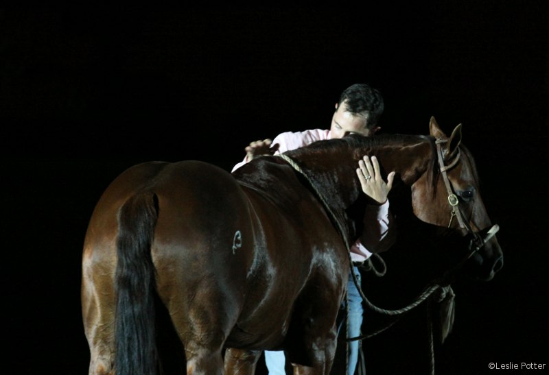 Freestyle Reining at the 2010 Alltech FEI World Equestrian Games