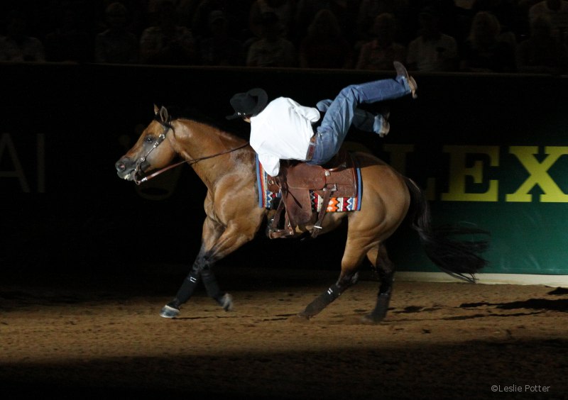 Freestyle Reining at the 2010 Alltech FEI World Equestrian Games