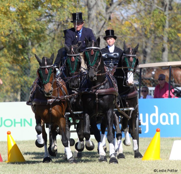 Boyd Exell at the 2010 Alltech FEI World Equestrian Games