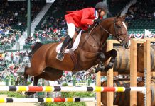 Mario Deslauriers at the 2010 Alltech FEI World Equestrian Games