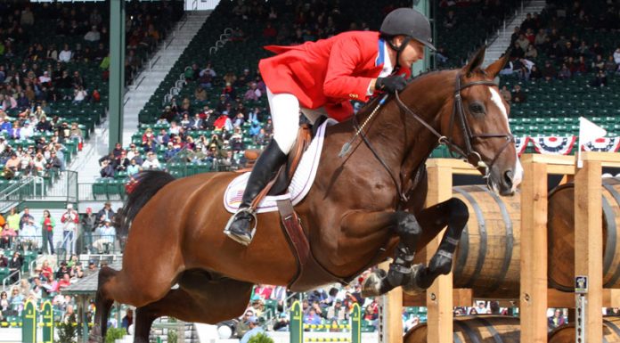 Mario Deslauriers at the 2010 Alltech FEI World Equestrian Games