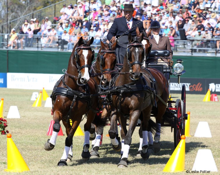 Ijsbrand Chardon at the 2010 Alltech FEI World Equestrian Games