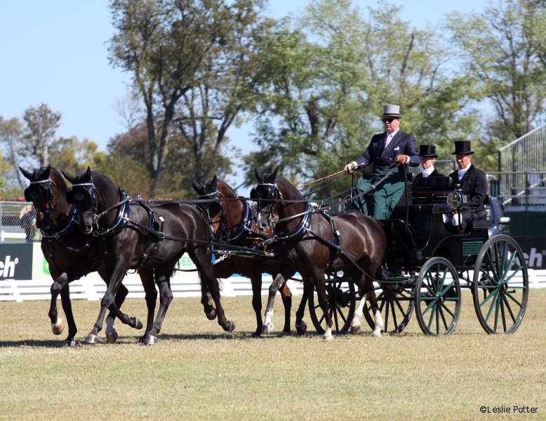 Tucker Johnson in the CDE at the 2010 Alltech FEI World Equestrian Games