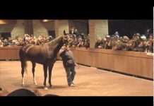 Zenyatta Arrives in Kentucky