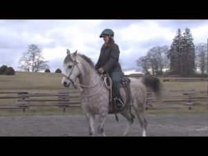 Video: Taking a Green Horse on the Trail with Jonathan Field
