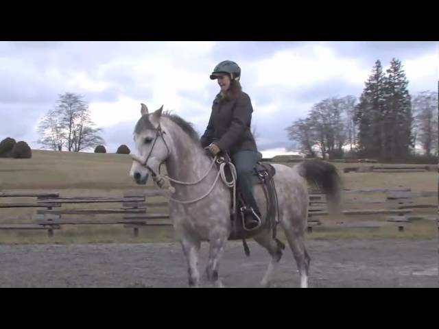 Video: Taking a Green Horse on the Trail with Jonathan Field