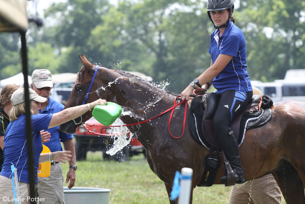 Endurance horse getting cooled off at a vet check