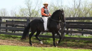 Video: Gaits of the Paso Fino