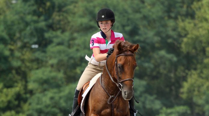 Horse and rider jumping a vertical jump.