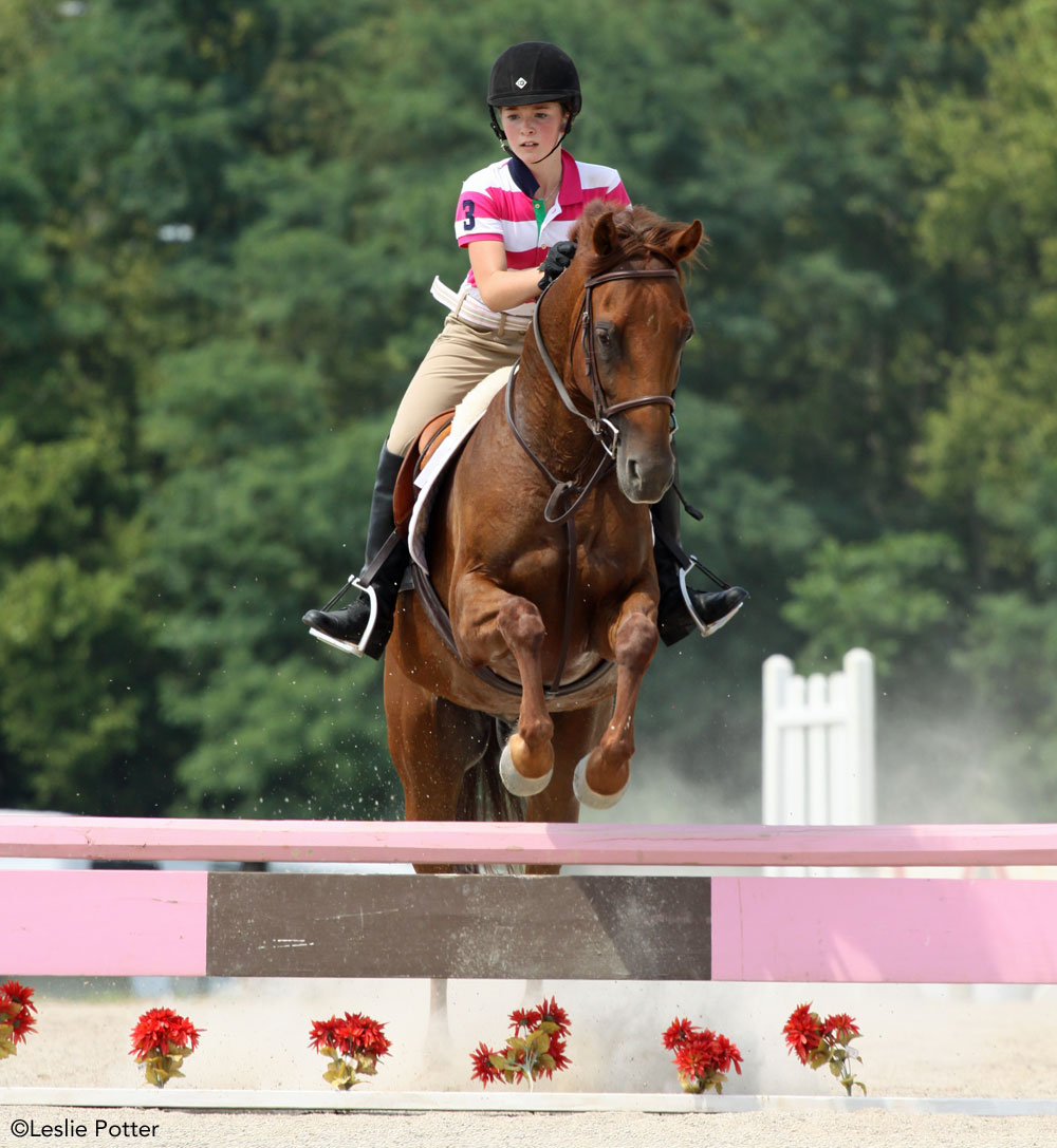 Horse and rider jumping a vertical jump.