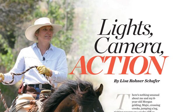 America's Favorite Trail Horse