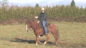 Jonathan Field: Building Partnership through Leadership Video