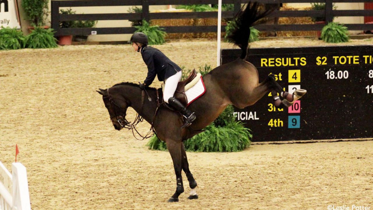 Horse Bucking Rider Off