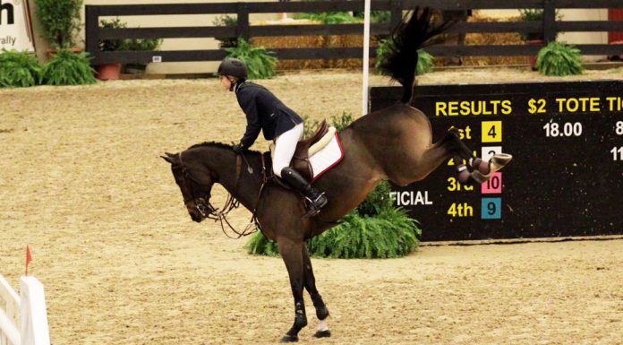 horse bucking after a jump