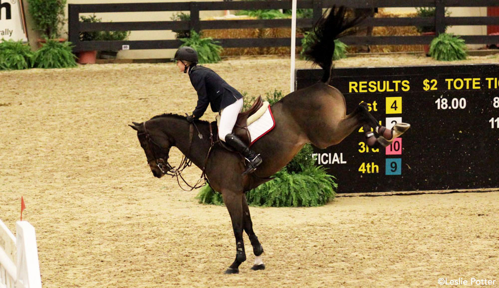 Horse bucking after a jump