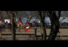 Horsemanship meets adrenaline in this relatively new equestrian sport