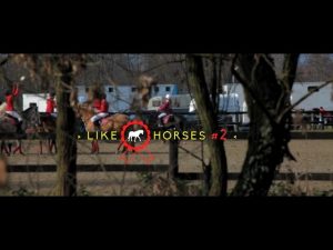 Horseball: Horsemanship meets adrenaline in this relatively new equestrian sport