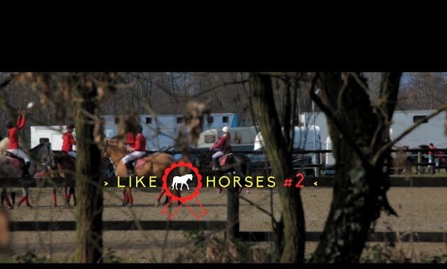 Horsemanship meets adrenaline in this relatively new equestrian sport