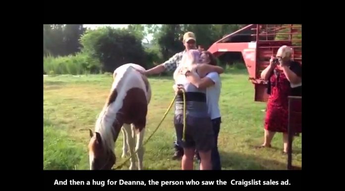 Horse and Owner Reunion