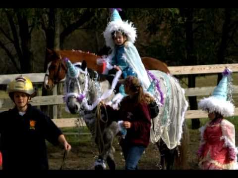 Horse Halloween Costumes