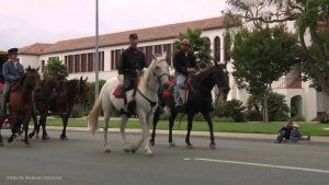 Video of the Week: Horse Parade