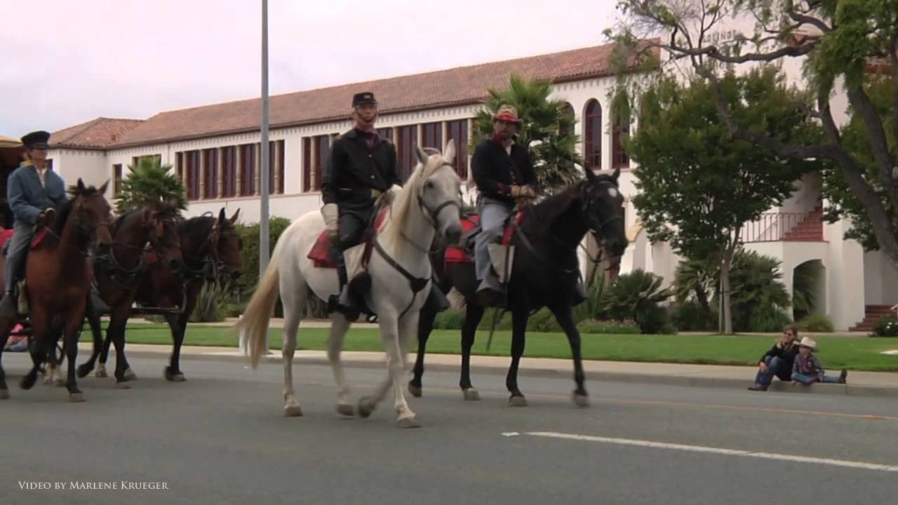 Video of the Week: Horse Parade
