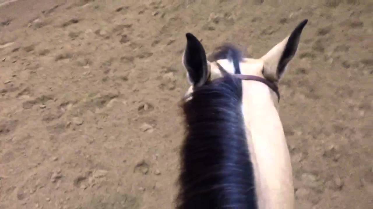 Video of the Week: Ride a Spin