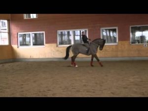 Video of the Week: Bareback Dressage with Isabell Werth