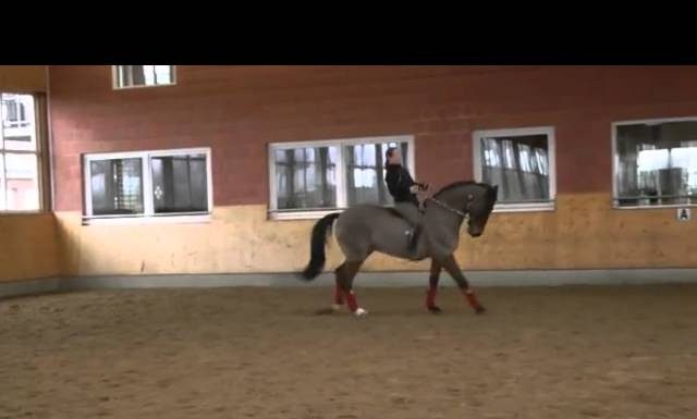 Bareback Dressage with Isabell Werth