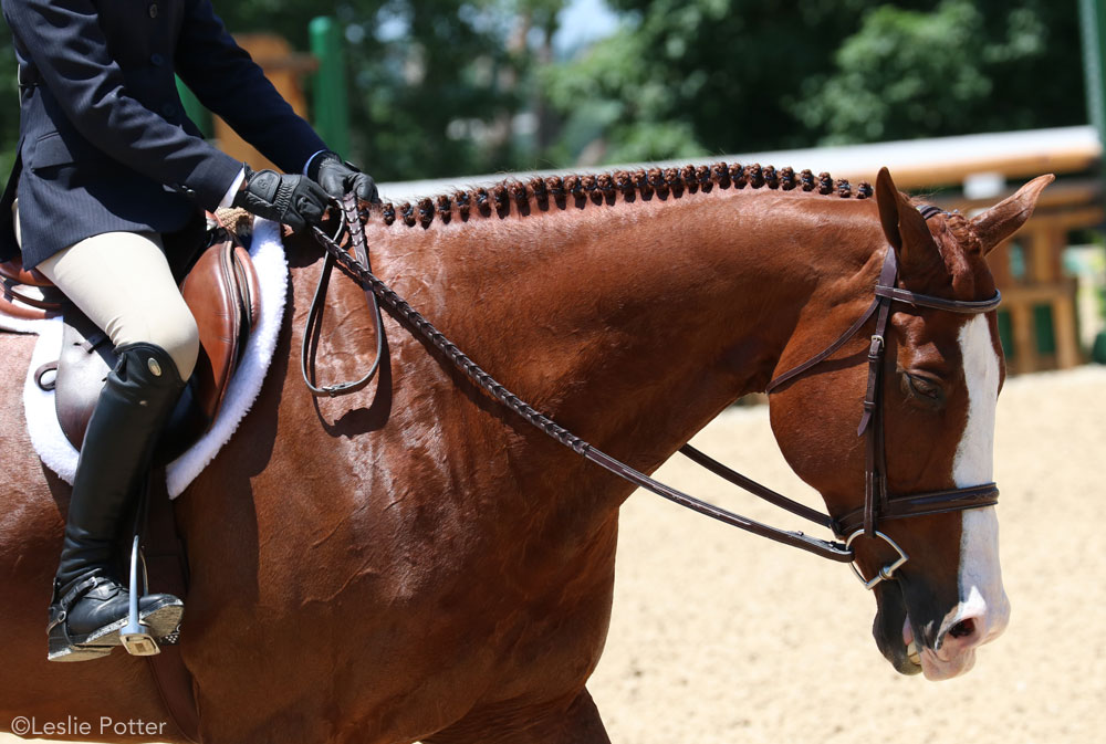 How to Fix a Broken Riding Boot Zipper