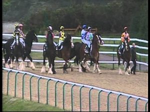 Video of the Week: Shire Racing