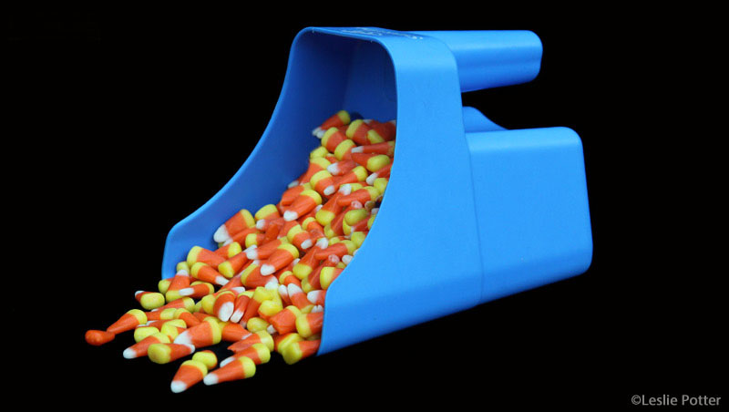 Horse Halloween Candy Horse Halloween Candy